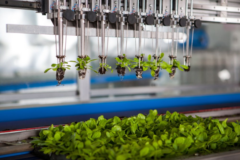 Innovation within growing media