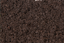 Black sphagnum peat (frozen through)