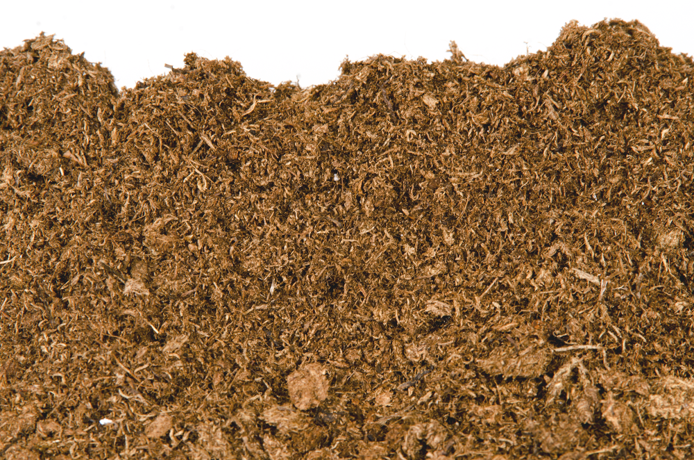 Peat Moss Medium