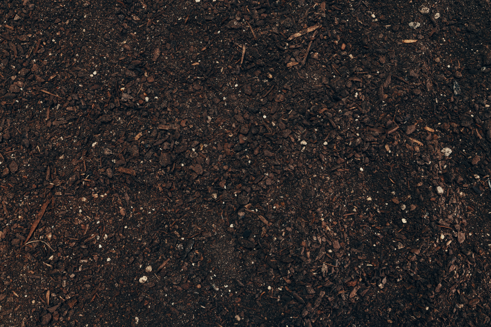 RAW -&nbsp;Composted bark